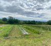 Le Petit Jardinier ULME Lucas