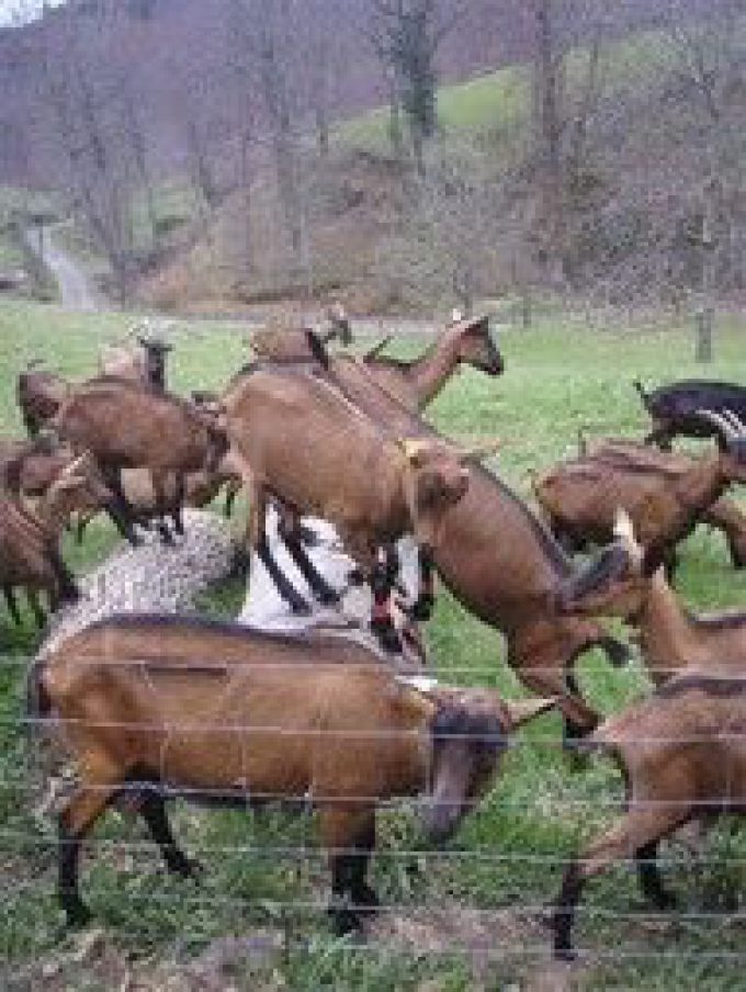 La ferme de la Milonière
