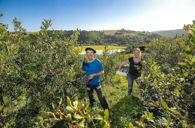 La ferme des grands bois