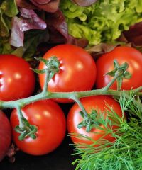 Marché de producteurs-Décines