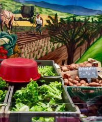 Marché Fermier des Producteurs – Place Carnot