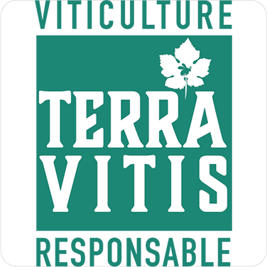 Terra Vitis