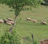 Ferme de chez le bois
