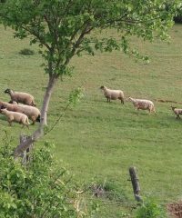 Ferme de chez le bois