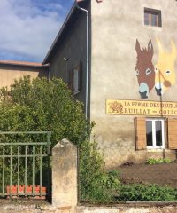 La Ferme des 2 ânes