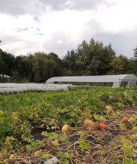 Les Jardins du Pont de chêne