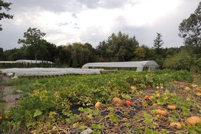 Les Jardins du Pont de chêne