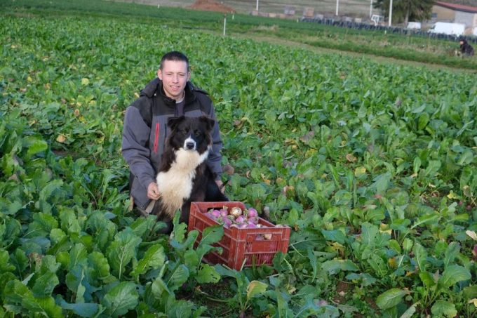 Les Terres Maraîchères