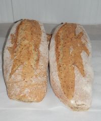 Gaec du Levain
