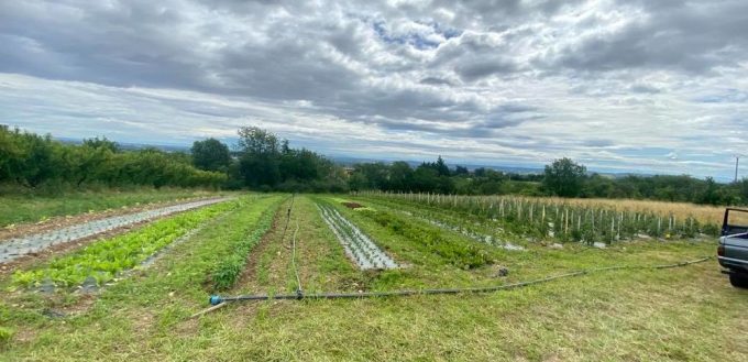 Le Petit Jardinier ULME Lucas