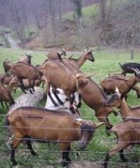 La ferme de la Milonière