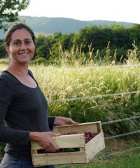 Le jardin comestible