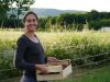 Le jardin comestible