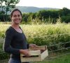 Le jardin comestible
