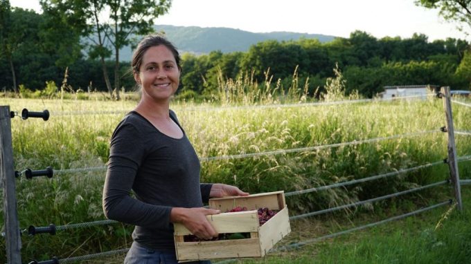 Le jardin comestible