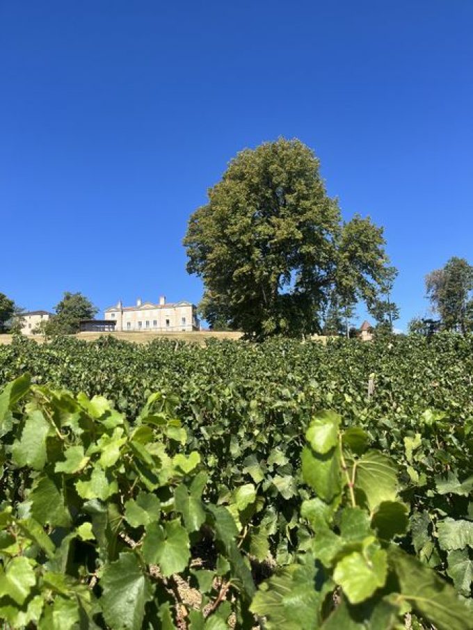 Domaine Bosse Platière &#8211; Château de Lachassagne