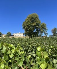 Domaine Bosse Platière – Château de Lachassagne