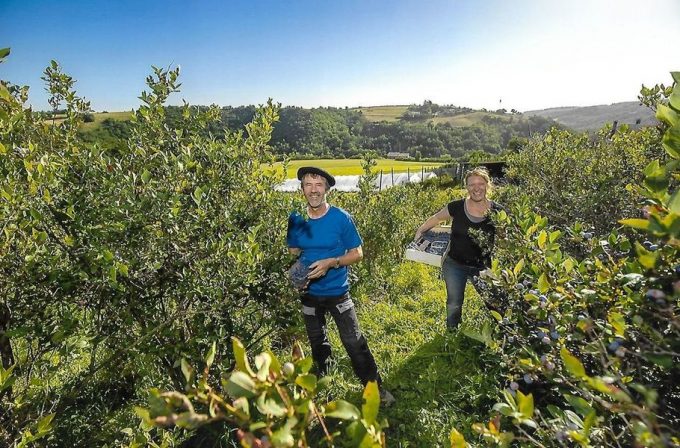 La ferme des grands bois