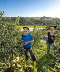 La ferme des grands bois