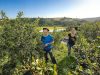 La ferme des grands bois