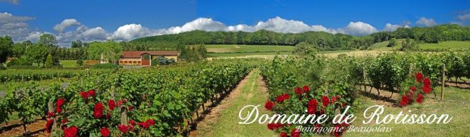 Domaine de Rotisson