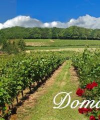 Domaine de Rotisson