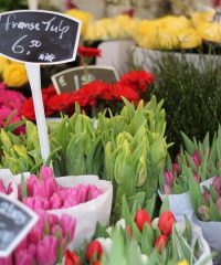 Marché Alimentaire et Fleurs Quai Augagneur