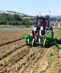 Aux p’tits plaisirs des champs