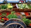 Marché Alimentaire de Charly