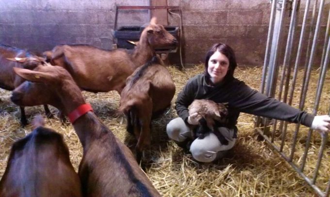 La Ferme des Chardons