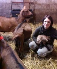 La Ferme des Chardons