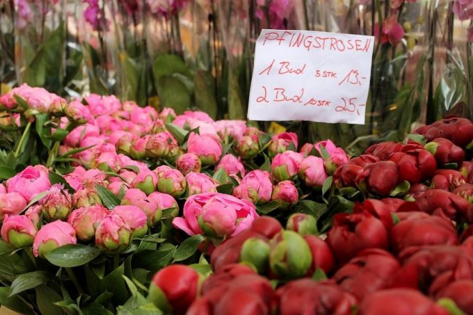 Marché Alimentaire et Fleurs Château de Montchat