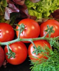 Marché de producteurs-Décines