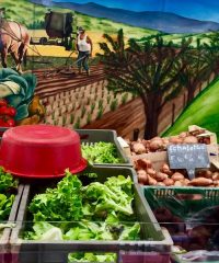 Marché Fermier des Producteurs – Place Carnot
