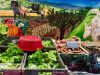 Marché Fermier des Producteurs – Place Carnot