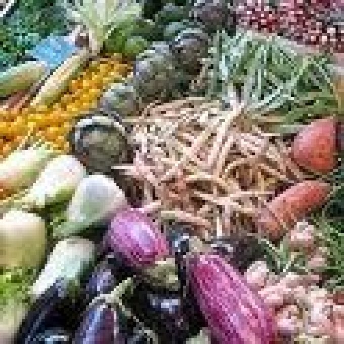 Marché Biologique de Vaise