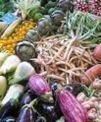 Marché Biologique de Vaise