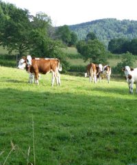 Ferme Chalon