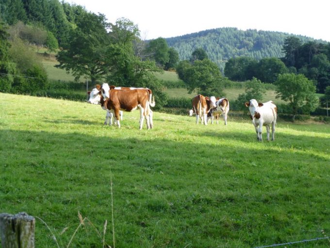 Ferme Chalon