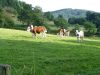 Ferme Chalon