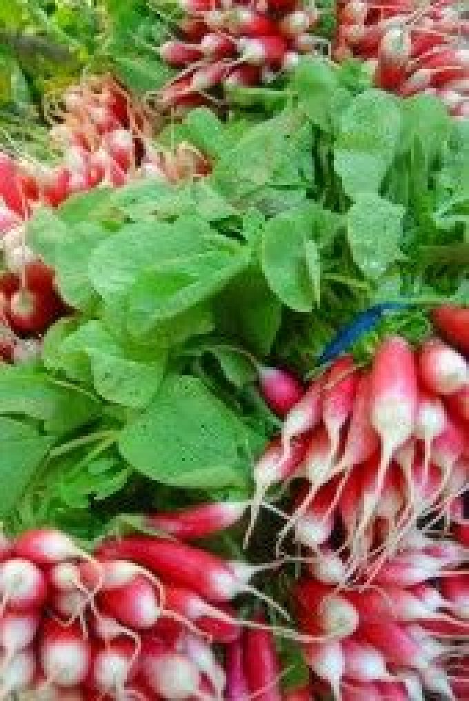 Gaec la Ferme de Ludo et Mayi