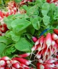 Gaec la Ferme de Ludo et Mayi