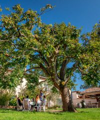 Domaine des Crêtes