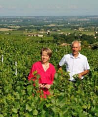 Domaine Les Roches Bleues